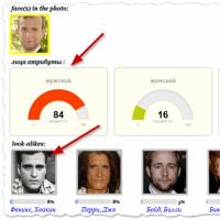 Компьютерный ликбез: как найти своего двойника по фото